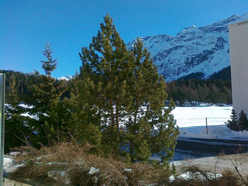 Studio Champfer St. Moritz Bagian luar foto