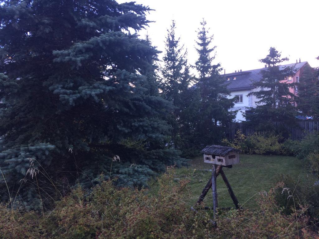 Studio Champfer St. Moritz Bagian luar foto