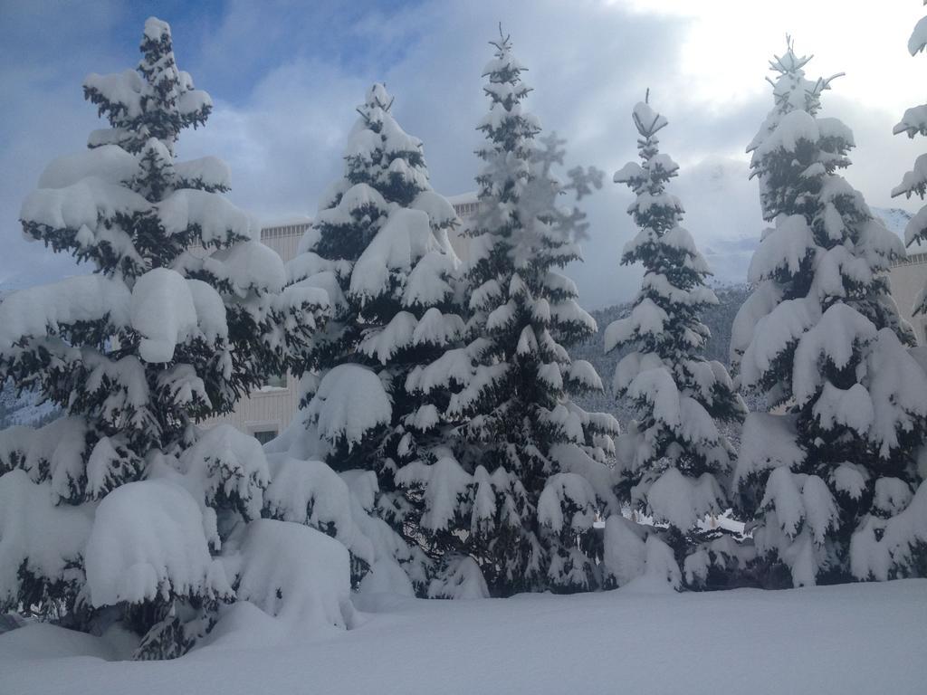 Studio Champfer St. Moritz Bagian luar foto